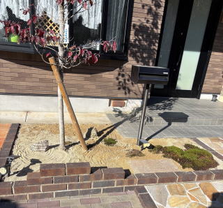 住宅苔庭イメージ